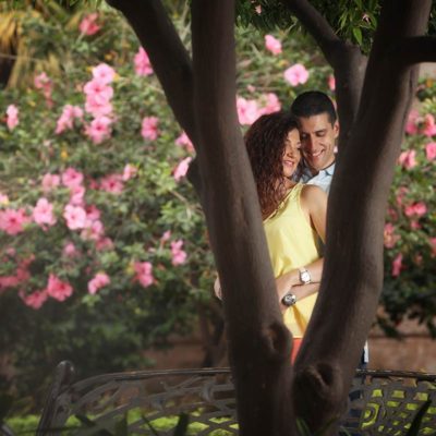 Book preboda 