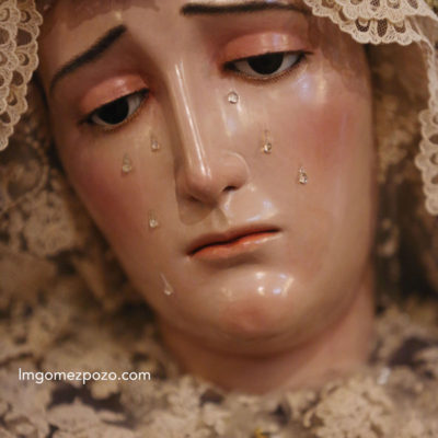 Fotógrafo de Málaga. 21/10/16