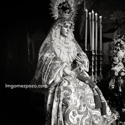 Fotógrafo de Málaga. 21/10/16