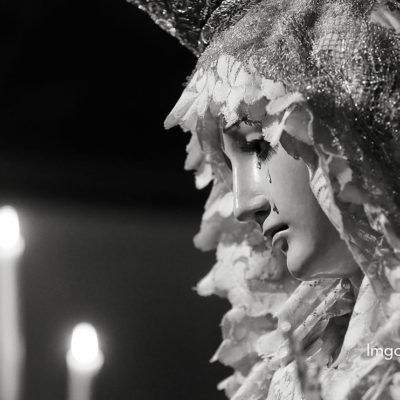 Fotógrafo de Málaga. 21/10/16