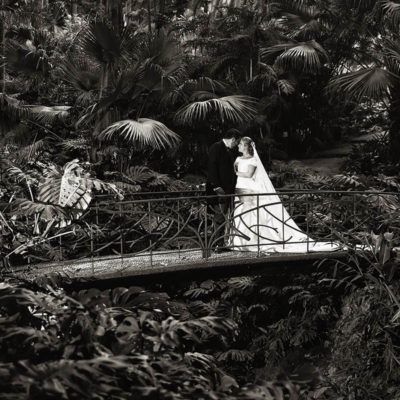 Fotógrafo de bodas en Málaga. Agosto de 2016.