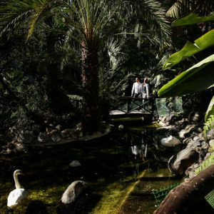 fotógrafo de bodas. Marbella 2016