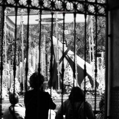 Semana Santa en Málaga 2017. Domingo de Ramos.